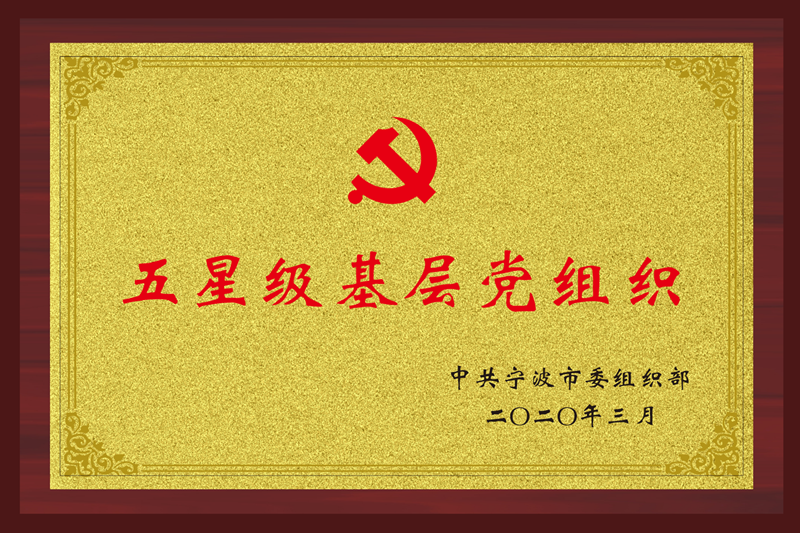 Five-Star Grassroots Party Organization